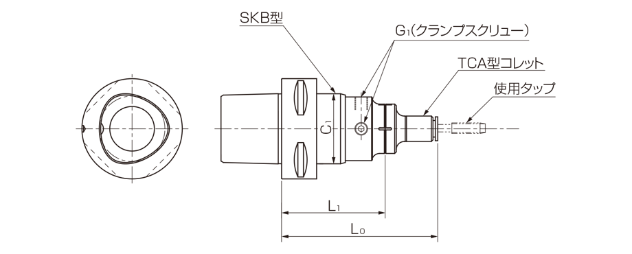 Model C-SKB